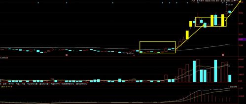 A股大尋寶 四只具備“飛天”潛力、散戶忽略卻獲資金悄然關注的標的